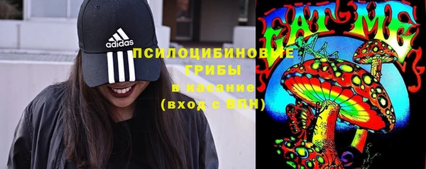 соль ск Балабаново