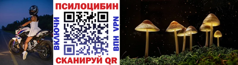 Псилоцибиновые грибы Psilocybe  Колпашево 